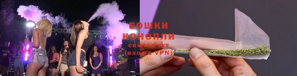 крисы Туринск