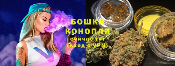 стаф Бронницы