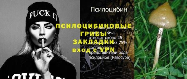 стаф Бронницы