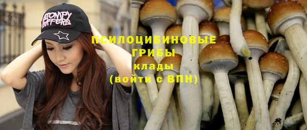 стаф Бронницы