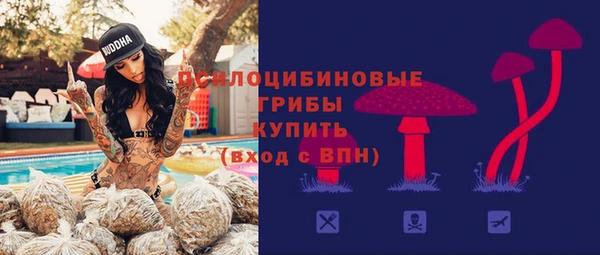 стаф Бронницы