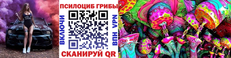 где можно купить   Клинцы  Галлюциногенные грибы Cubensis 
