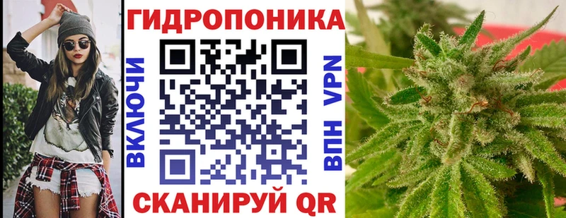 купить   Клинцы  Конопля MAZAR 